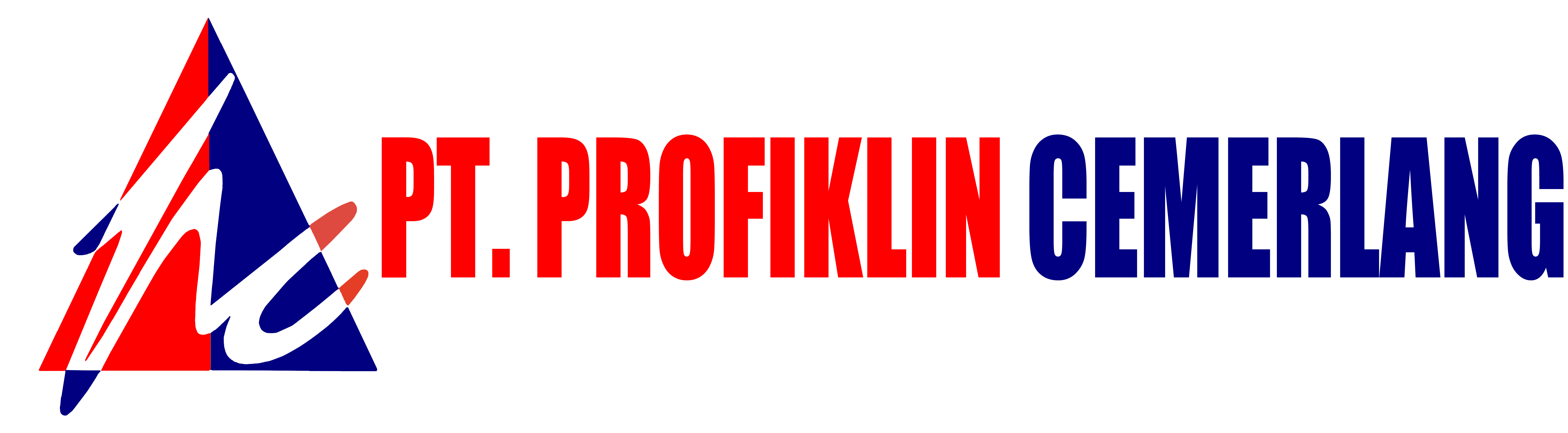 website FINAL LOGO Profiklin